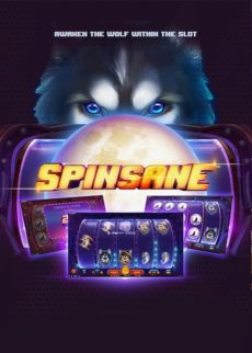 Spin Sane